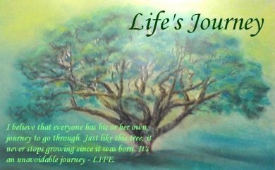 Life's_Journey
