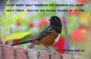 TooManyHeartbeats Matthew 6_34