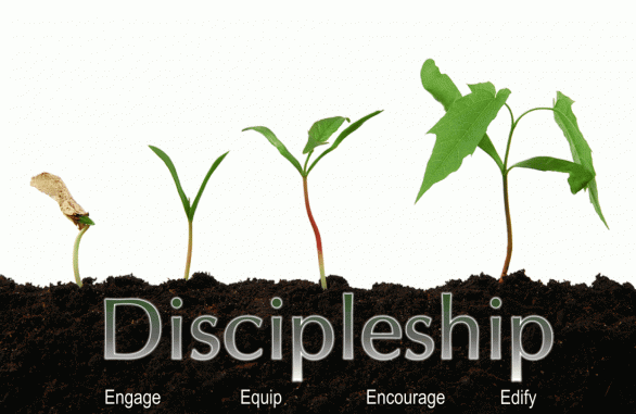 Discipleship Model