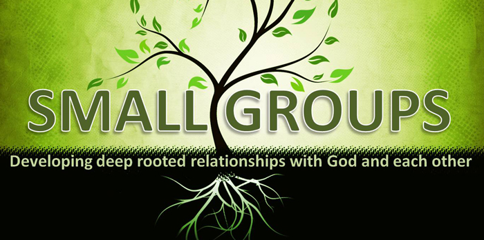 Small_Group_logo